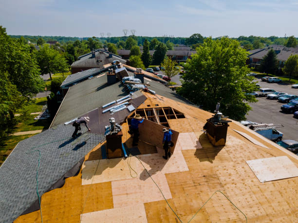 24/7 Emergency Roof Replacement experts in Hollow Rock, TN